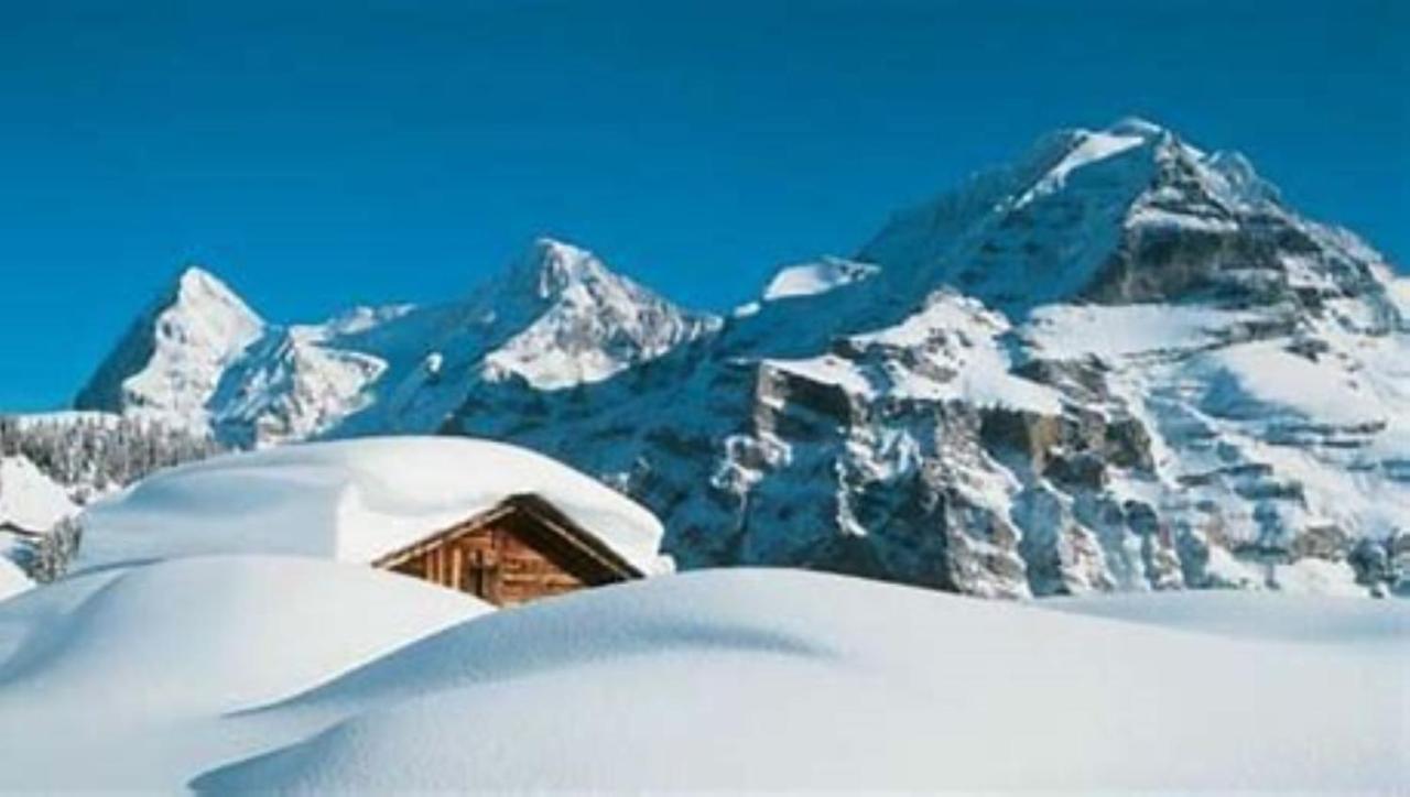 Komfortabel, Perfekte Lage, Neue Wohnung, Gratis P Lauterbrunnen
